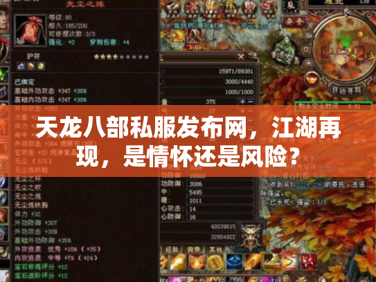 天龙八部私服发布网，江湖再现，是情怀还是风险？