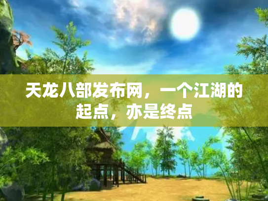 天龙八部发布网，一个江湖的起点，亦是终点