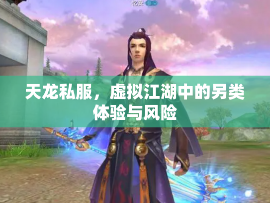 天龙私服，虚拟江湖中的另类体验与风险