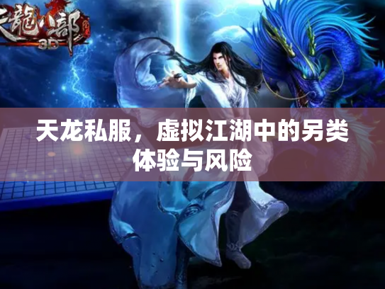 天龙私服，虚拟江湖中的另类体验与风险