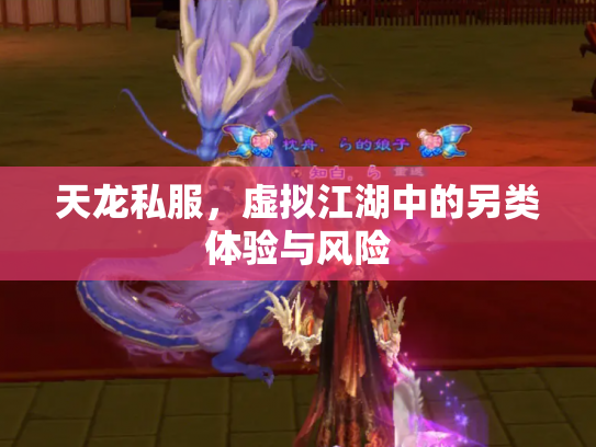 天龙私服，虚拟江湖中的另类体验与风险