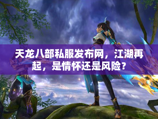 天龙八部私服发布网，江湖再起，是情怀还是风险？
