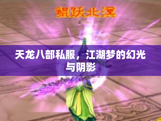 天龙八部私服，江湖梦的幻光与阴影