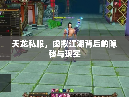 天龙私服，虚拟江湖背后的隐秘与现实