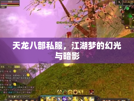 天龙八部私服，江湖梦的幻光与暗影
