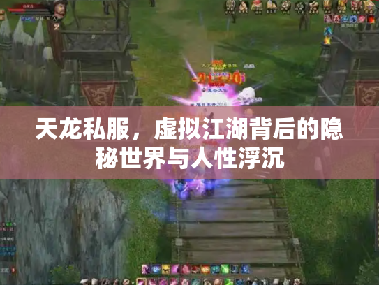 天龙私服，虚拟江湖背后的隐秘世界与人性浮沉