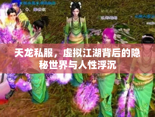 天龙私服，虚拟江湖背后的隐秘世界与人性浮沉