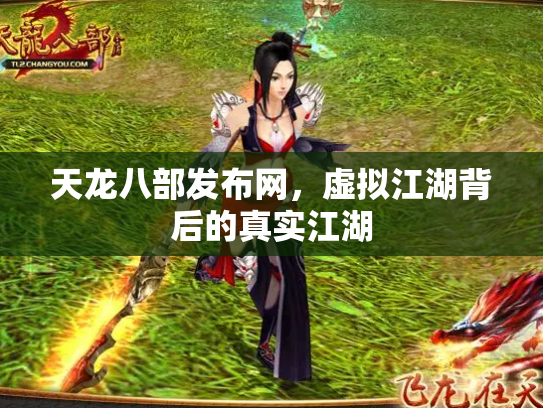 天龙八部发布网，虚拟江湖背后的真实江湖