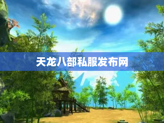 天龙八部私服发布网