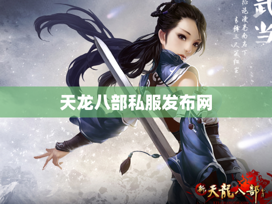 天龙八部私服发布网