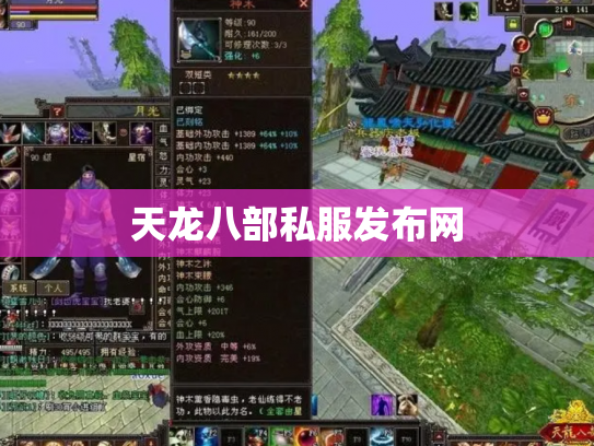 天龙八部私服发布网