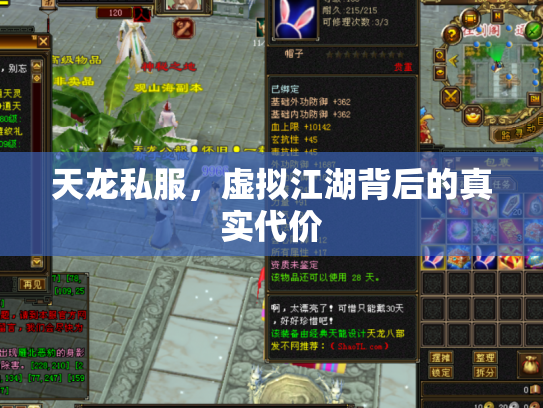 天龙私服，虚拟江湖背后的真实代价
