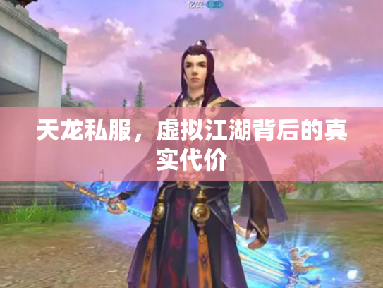 天龙私服，虚拟江湖背后的真实代价