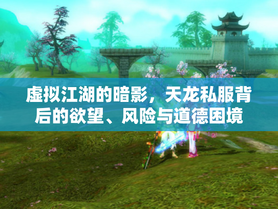 虚拟江湖的暗影，天龙私服背后的欲望、风险与道德困境