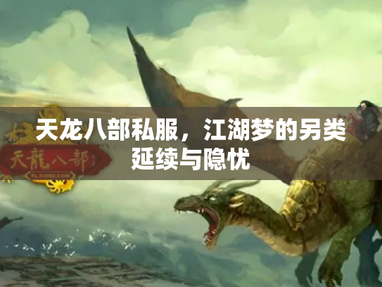 天龙八部私服，江湖梦的另类延续与隐忧