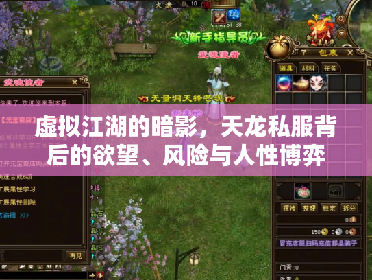 虚拟江湖的暗影，天龙私服背后的欲望、风险与人性博弈