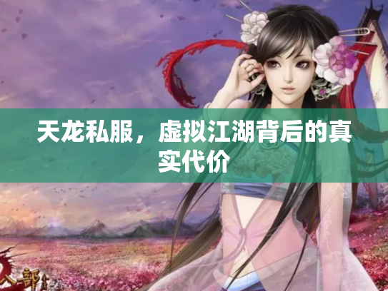 天龙私服，虚拟江湖背后的真实代价
