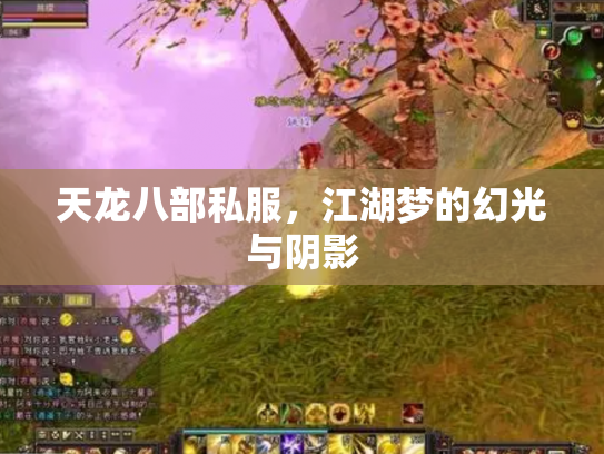 天龙八部私服，江湖梦的幻光与阴影