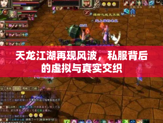 天龙江湖再现风波，私服背后的虚拟与真实交织