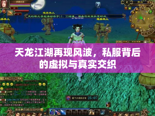 天龙江湖再现风波，私服背后的虚拟与真实交织