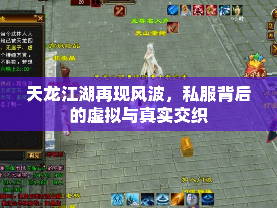 天龙江湖再现风波，私服背后的虚拟与真实交织