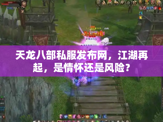 天龙八部私服发布网，江湖再起，是情怀还是风险？