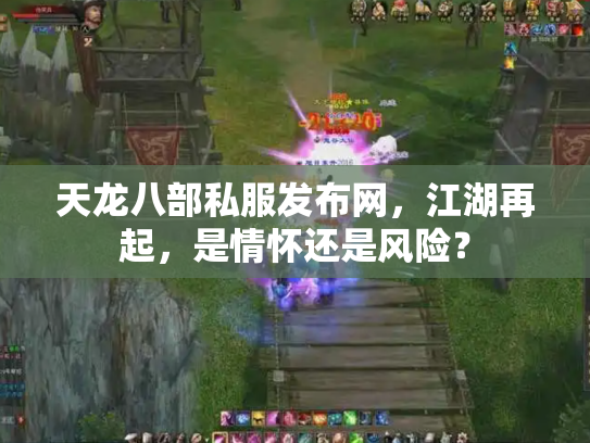 天龙八部私服发布网，江湖再起，是情怀还是风险？