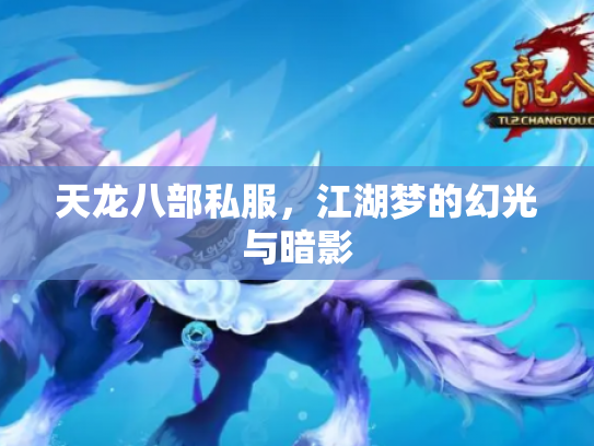 天龙八部私服，江湖梦的幻光与暗影