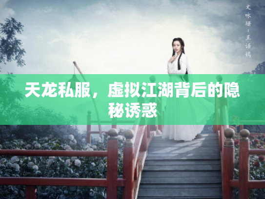天龙私服，虚拟江湖背后的隐秘诱惑