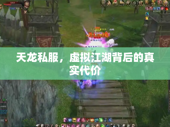 天龙私服，虚拟江湖背后的真实代价