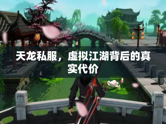 天龙私服，虚拟江湖背后的真实代价
