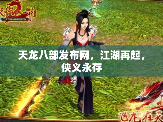 天龙八部发布网，江湖再起，侠义永存