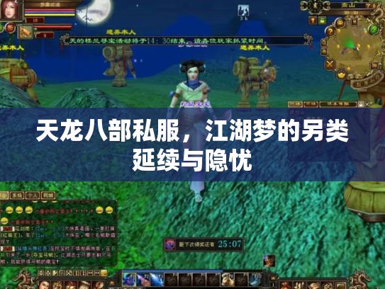 天龙八部私服，江湖梦的另类延续与隐忧
