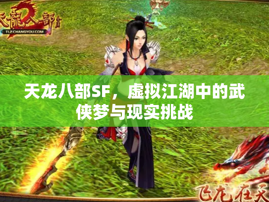 天龙八部SF，虚拟江湖中的武侠梦与现实挑战