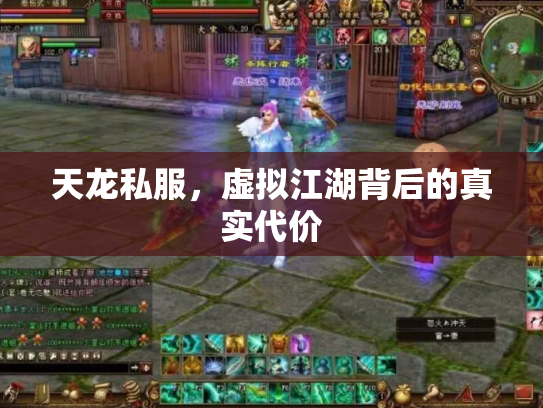 天龙私服，虚拟江湖背后的真实代价