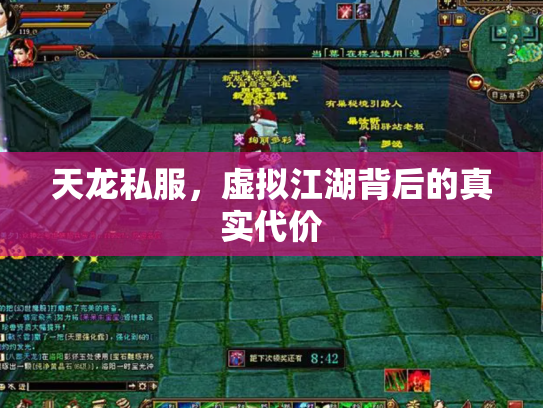 天龙私服，虚拟江湖背后的真实代价
