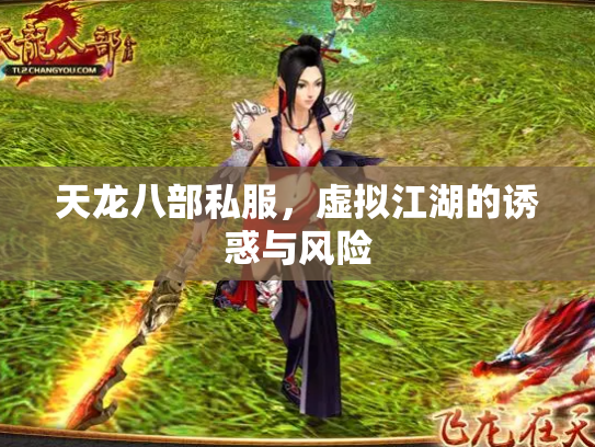 天龙八部私服，虚拟江湖的诱惑与风险