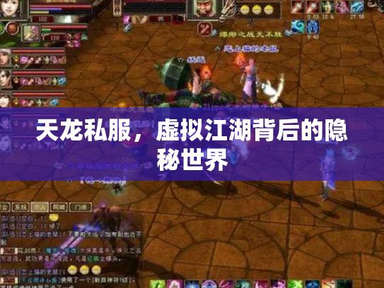 天龙私服，虚拟江湖背后的隐秘世界