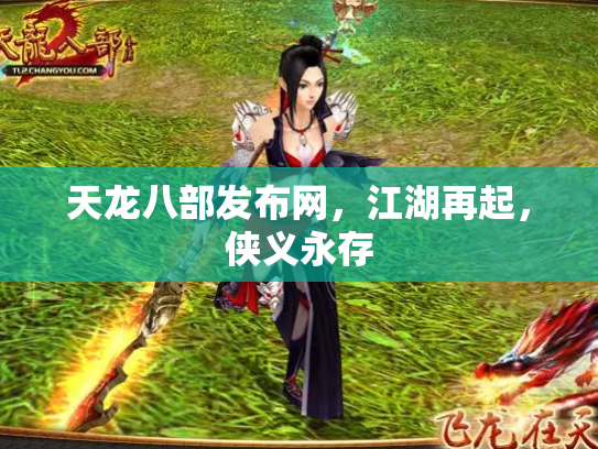 天龙八部发布网，江湖再起，侠义永存