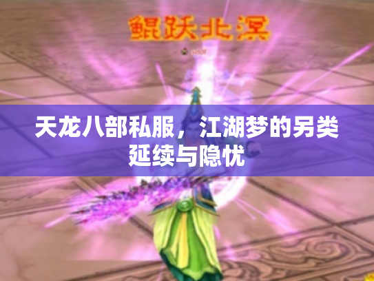 天龙八部私服，江湖梦的另类延续与隐忧