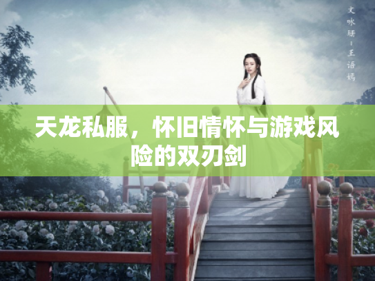 天龙私服，怀旧情怀与游戏风险的双刃剑