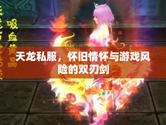 天龙私服，怀旧情怀与游戏风险的双刃剑