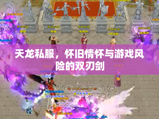 天龙私服，怀旧情怀与游戏风险的双刃剑