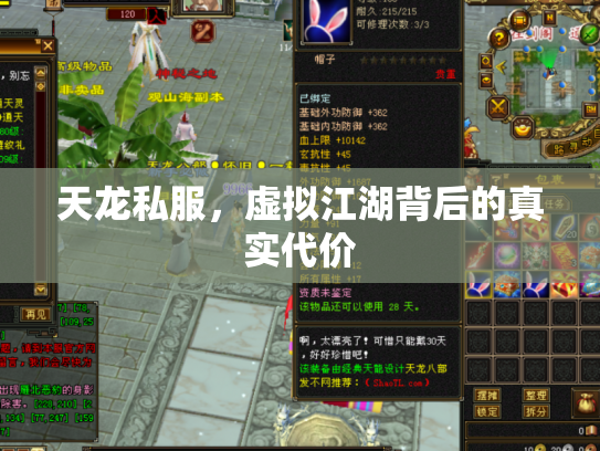 天龙私服，虚拟江湖背后的真实代价