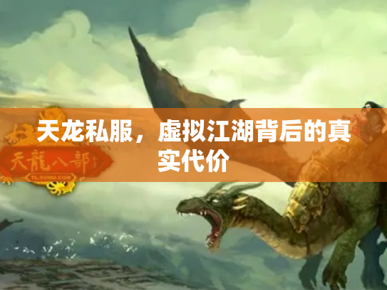 天龙私服，虚拟江湖背后的真实代价