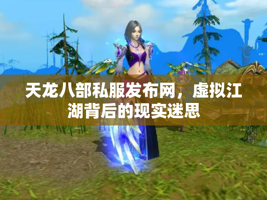 天龙八部私服发布网，虚拟江湖背后的现实迷思