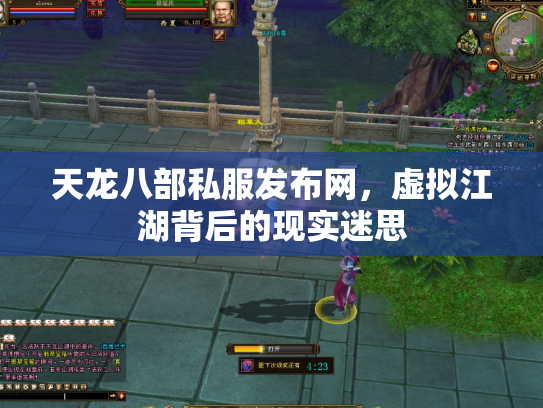 天龙八部私服发布网，虚拟江湖背后的现实迷思