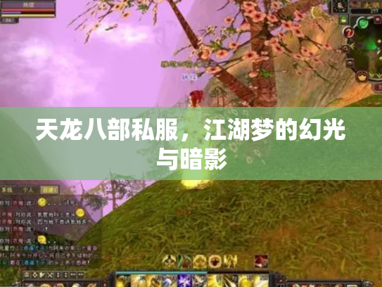 天龙八部私服，江湖梦的幻光与暗影
