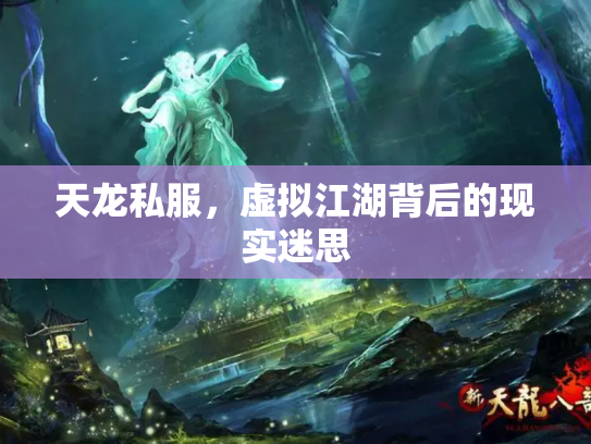 天龙私服，虚拟江湖背后的现实迷思