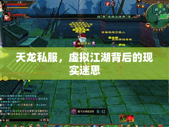 天龙私服，虚拟江湖背后的现实迷思